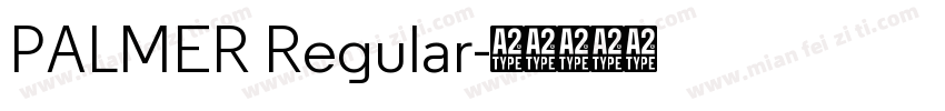 PALMER Regular字体转换